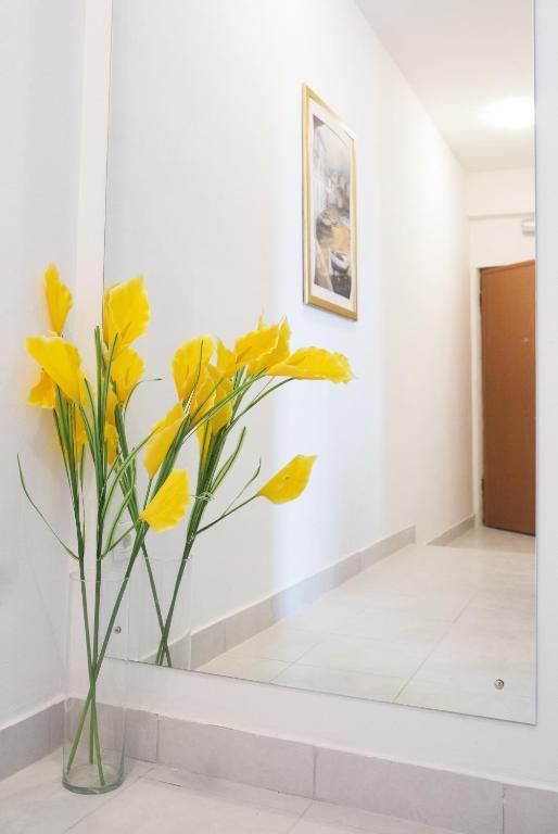 Apartmani Nika ドゥブロブニク 部屋 写真