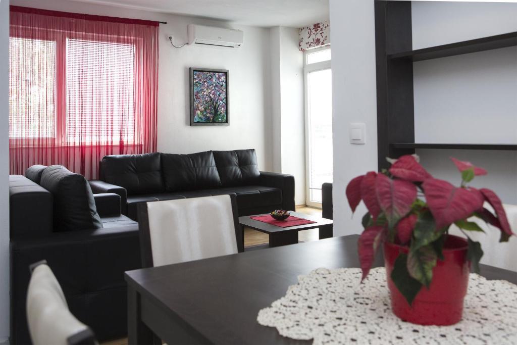 Apartmani Nika ドゥブロブニク 部屋 写真